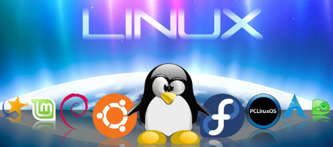 LINUX operating system